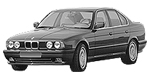 BMW E34 P3189 Fault Code