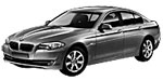 BMW F10 P3189 Fault Code